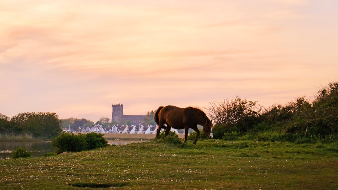 An image of St Catherine's Hill in Christchurch